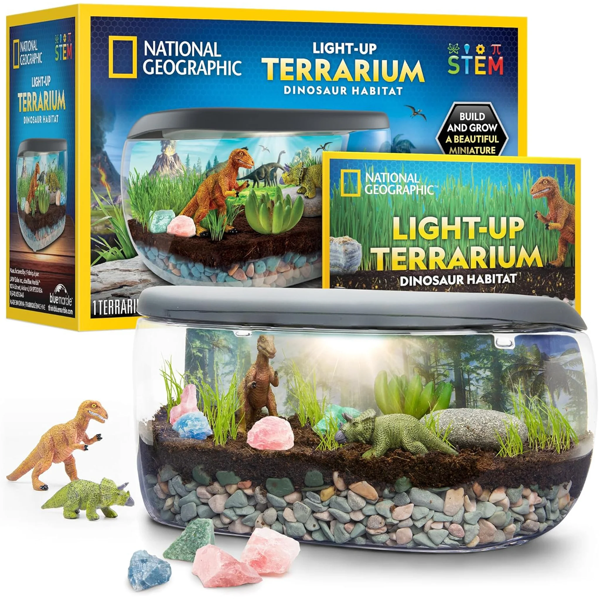 National Geographic Light Up Terrarium Kit With Real Plants & Gemstones
