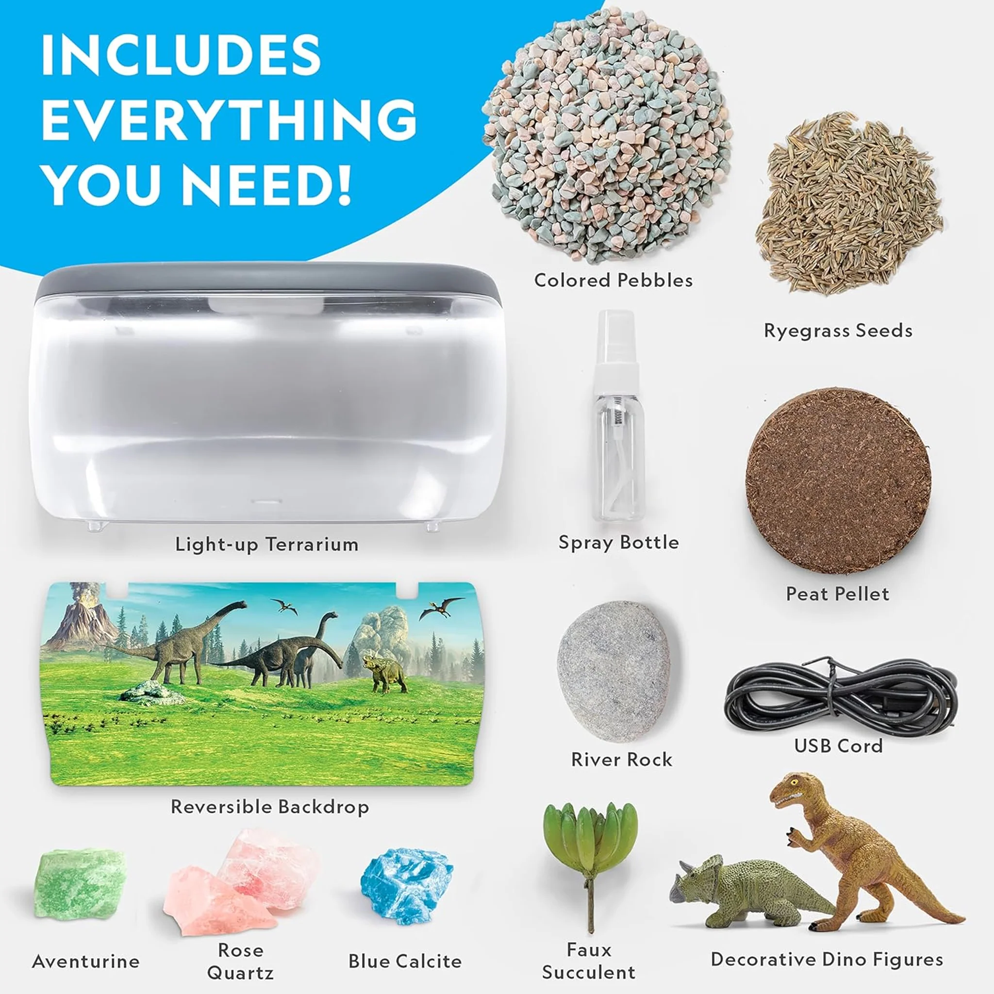 National Geographic Light Up Terrarium Kit With Real Plants & Gemstones - Image 6