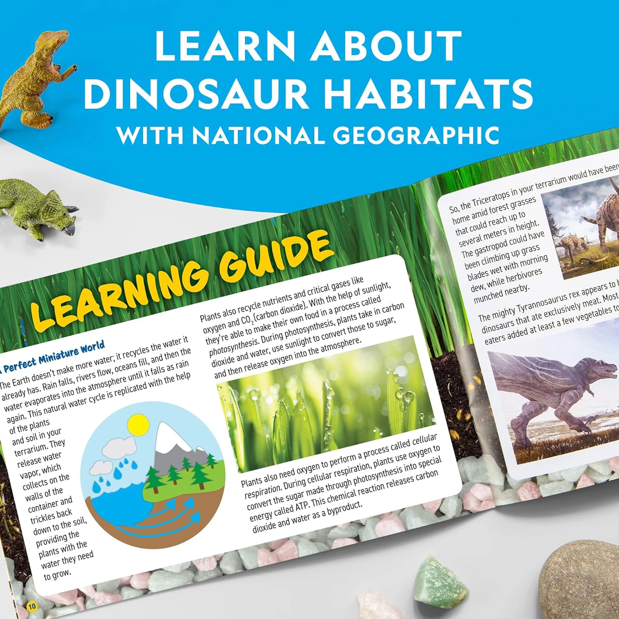 National Geographic Light Up Terrarium Kit With Real Plants & Gemstones - Image 7
