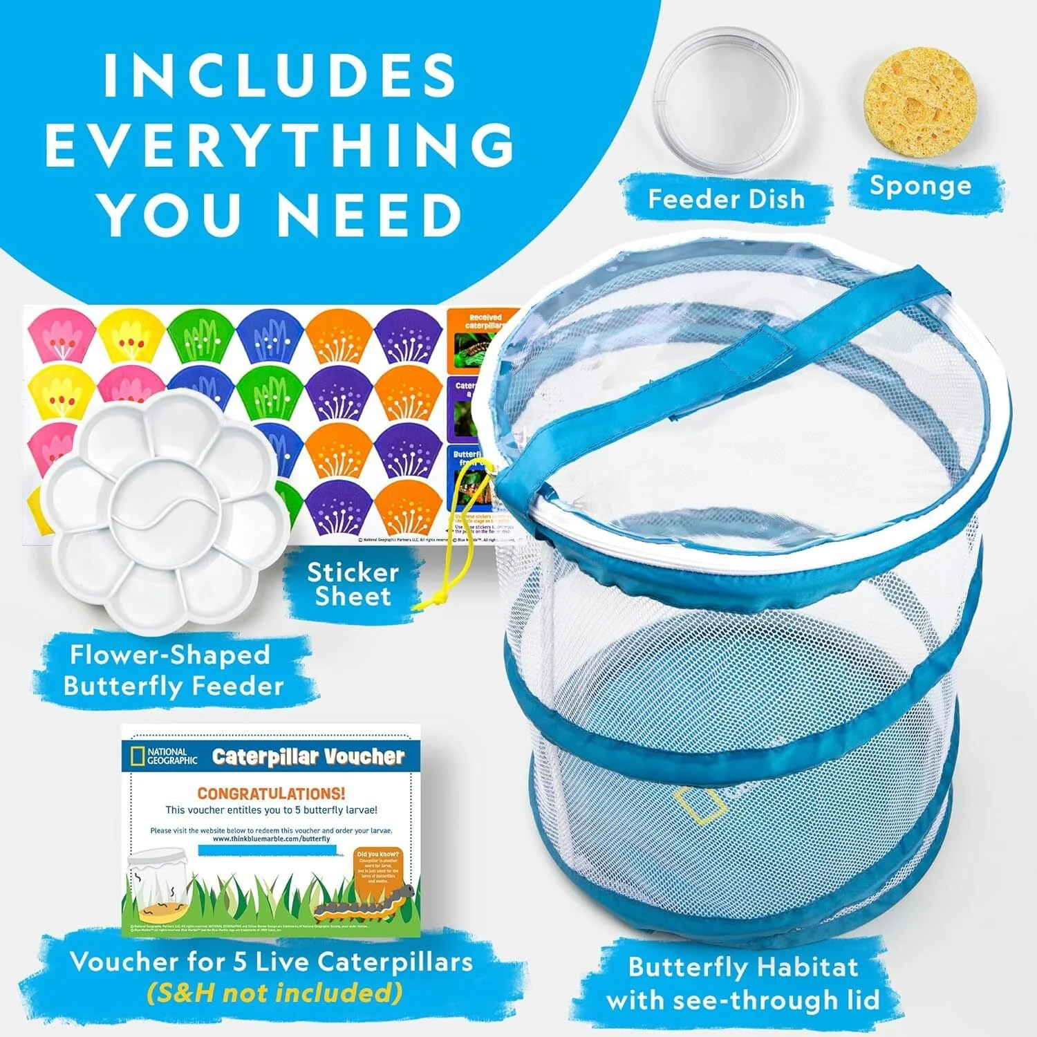 NATIONAL GEOGRAPHIC Caterpillar Growing Kit - Image 4