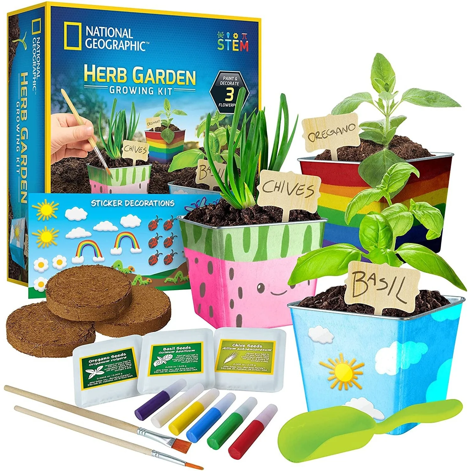 Herb Growing Kit for Kids