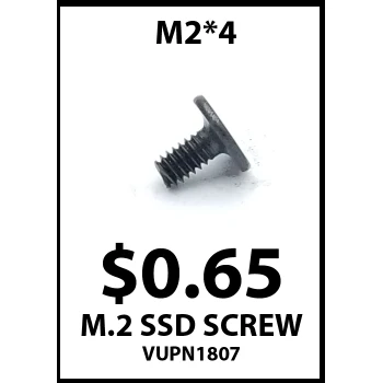 M.2 (M2x4) NVME Or mSATA SSD Screw - Desktop PC Screw - Image 2