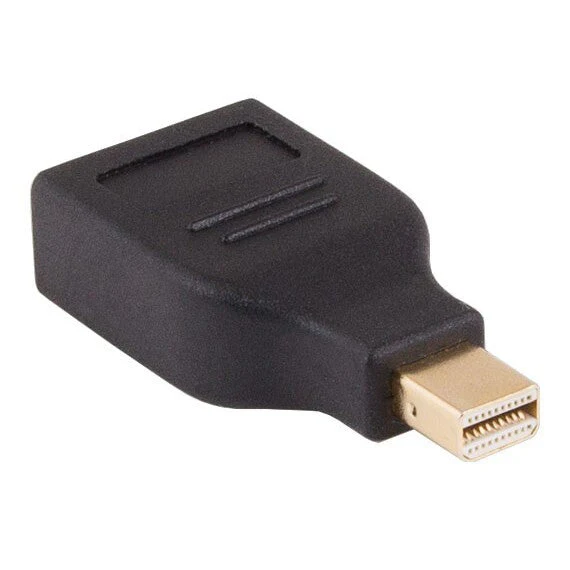Mini Display Port Male - Display Port Female Adapter - Image 2